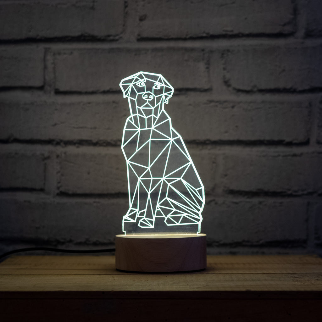 2D/3D labrador retriever Led Night light