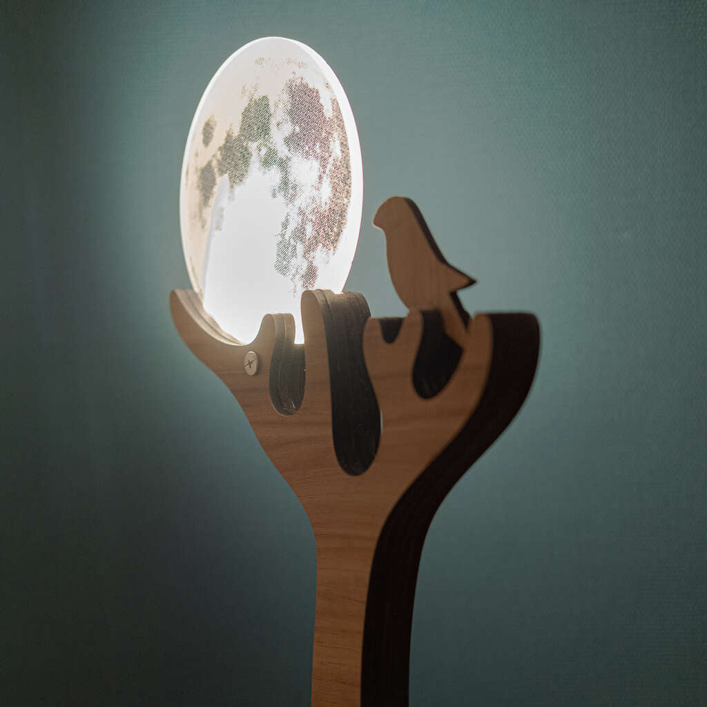 moonbird led lights UK